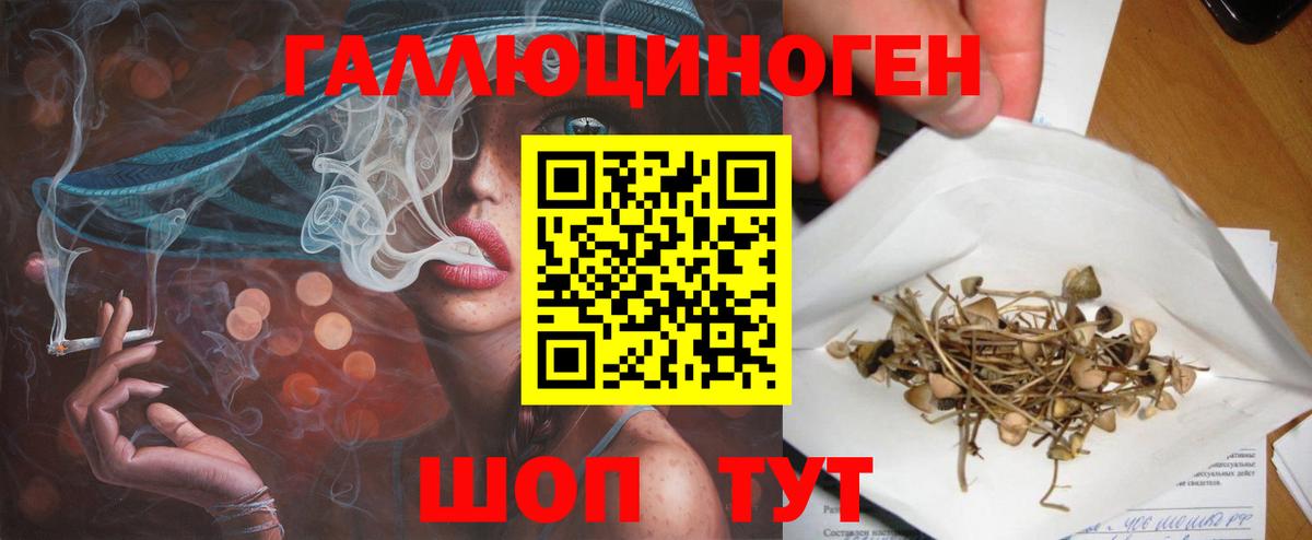 Галлюциногенные грибы прущие грибы  Галлюциногенные грибы прущие грибы  Донецк  Вход с VPN 