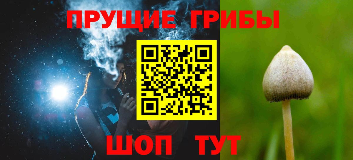 Псилоцибиновые грибы MAGIC MUSHROOMS Донецк
